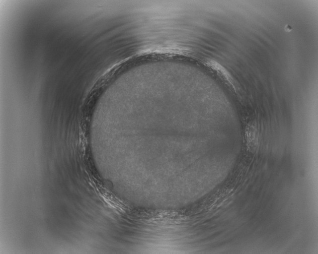 X0000067851064200605041709