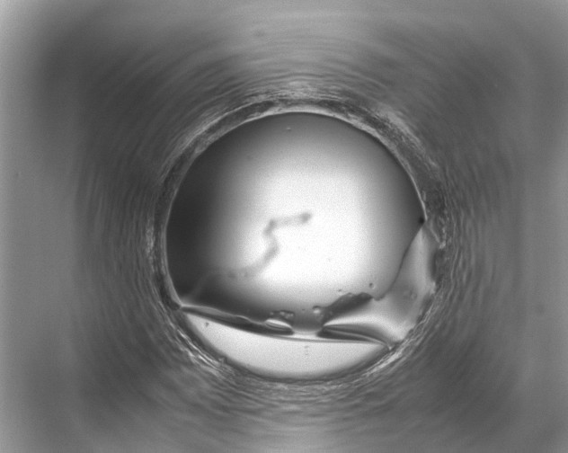 X0000067851065200605041709