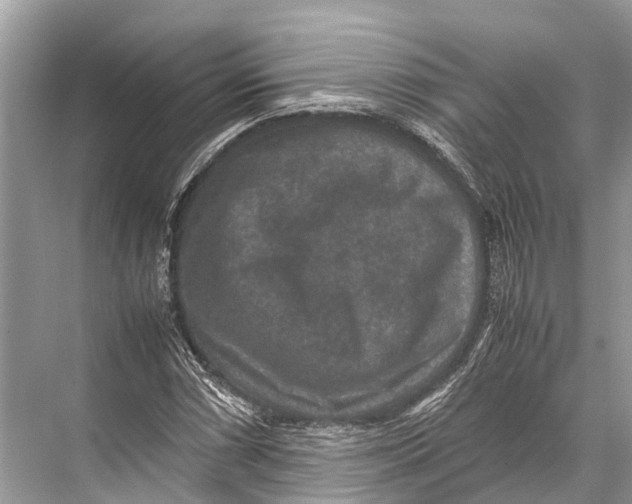 X0000067851066200605041709