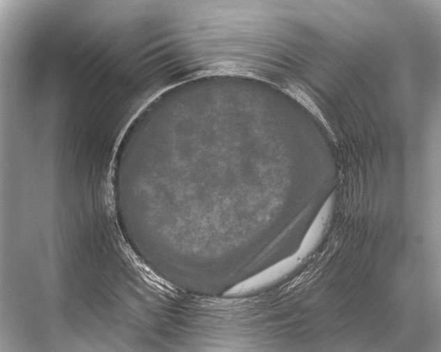 X0000067851068200605041709