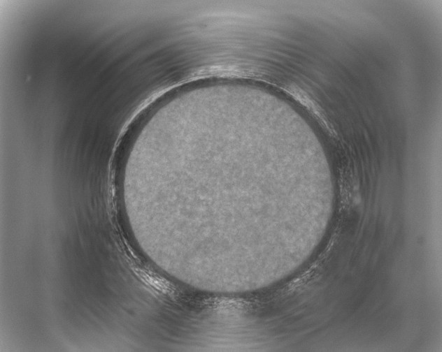 X0000067851070200605041709