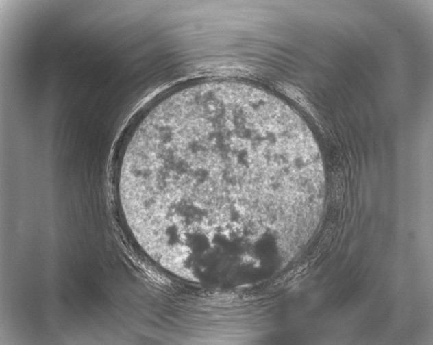 X0000067851071200605041709