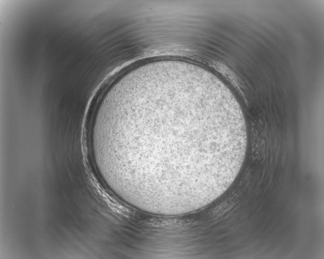 X0000067851072200605041709