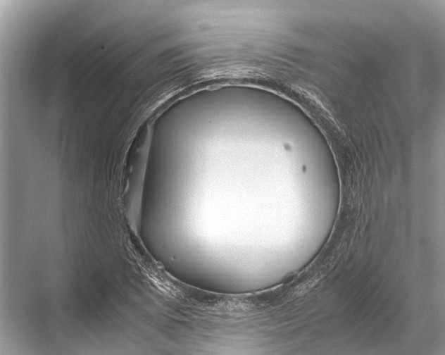 X0000067851073200605041709