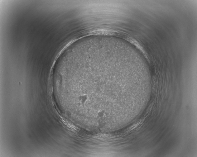 X0000067851075200605041709