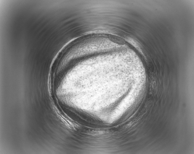 X0000067851076200605041709