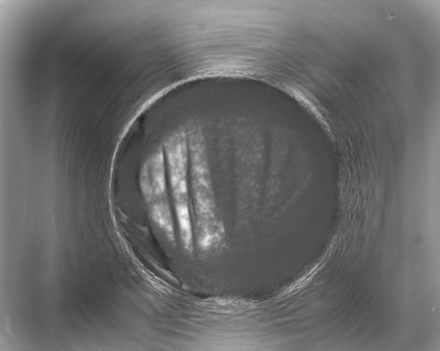 X0000067851077200605041709