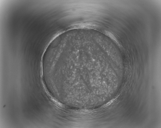 X0000067851079200605041709