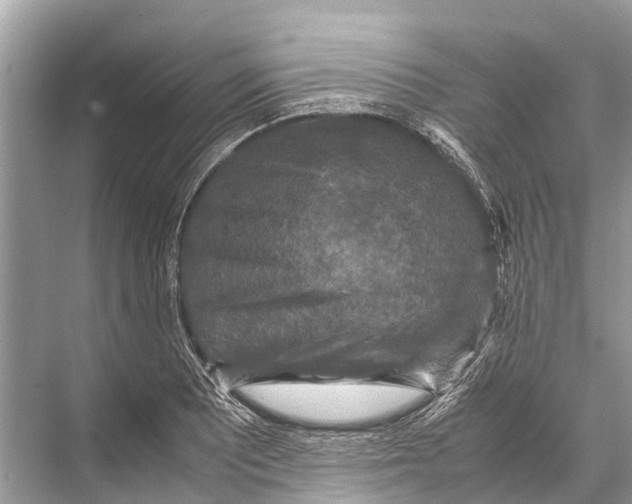 X0000067851081200605041709