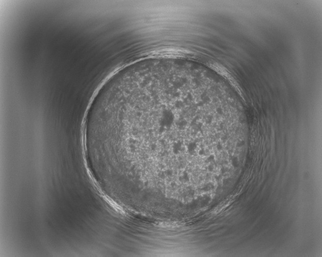 X0000067851083200605041709