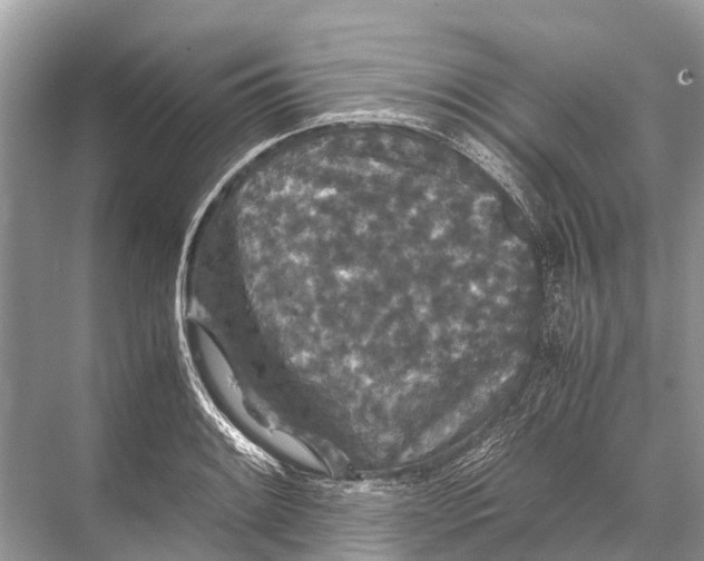 X0000067851084200605041709