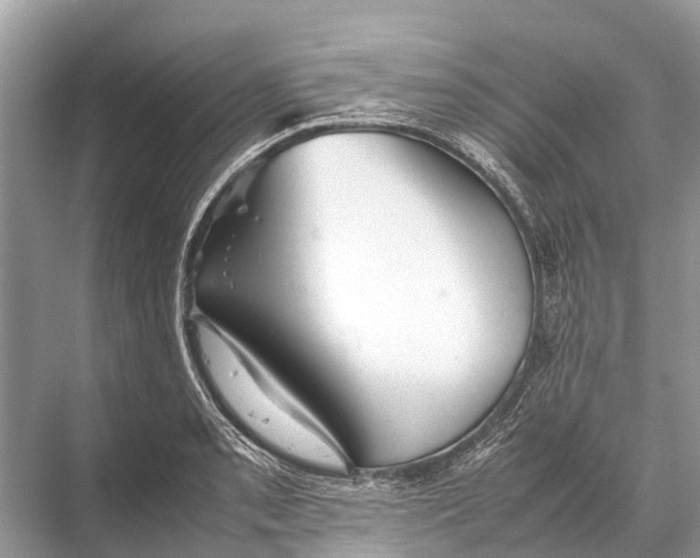 X0000067851085200605041709