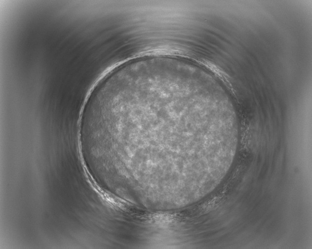 X0000067851086200605041709