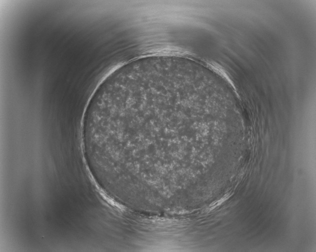 X0000067851087200605041709