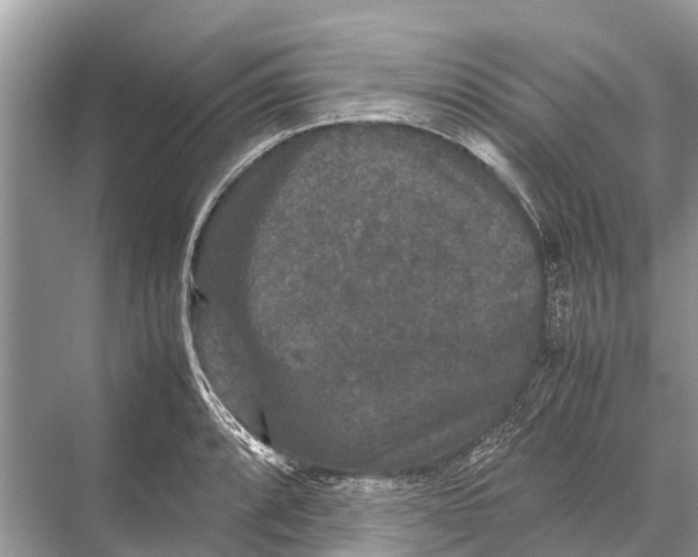 X0000067851088200605041709