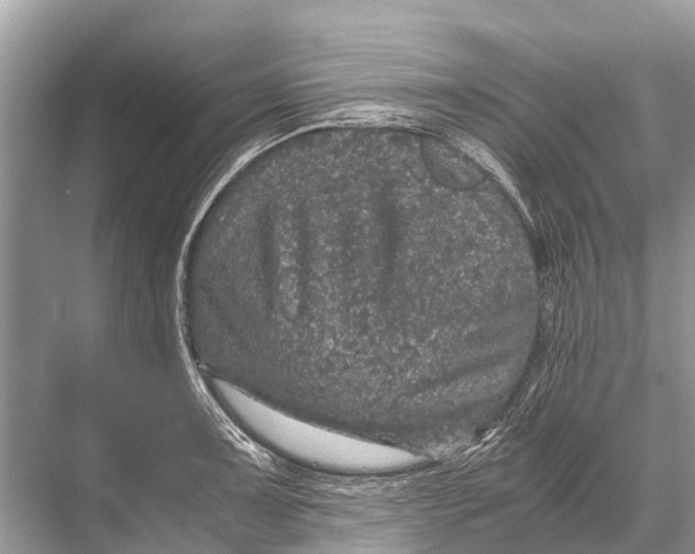 X0000067851091200605041709