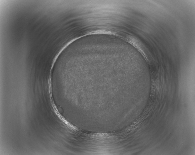 X0000067851092200605041709