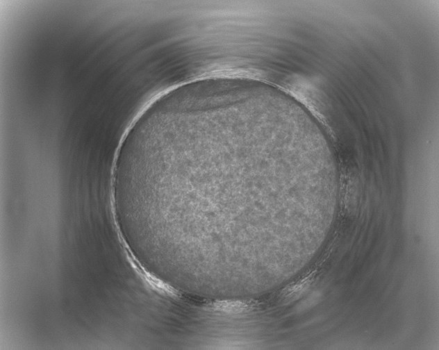 X0000067851094200605041709