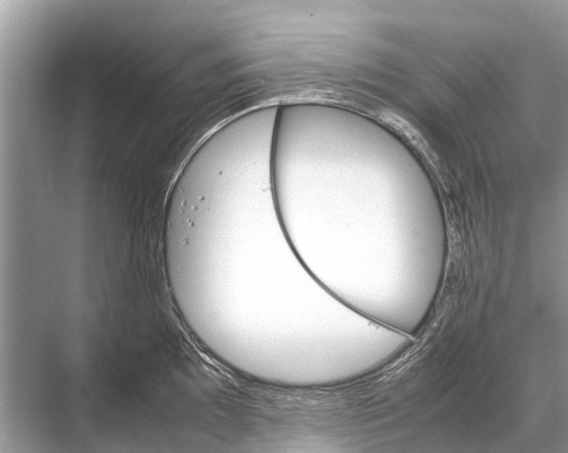 X0000067851097200605041709