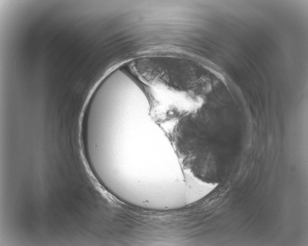 X0000067851099200605041709