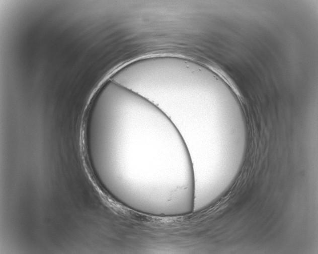 X0000067851101200605041709