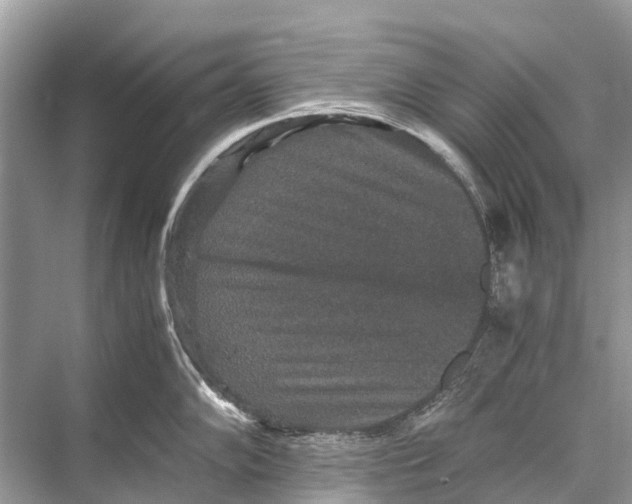 X0000067851102200605041709