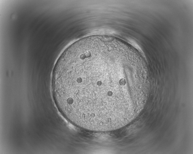 X0000067851103200605041709