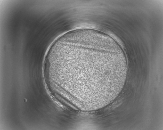 X0000067851104200605041709