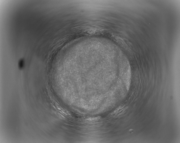 X0000067851105200605041708