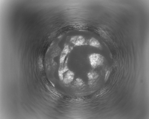 X0000067851106200605041708