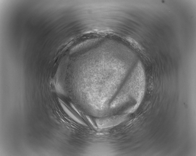 X0000067851110200605041708