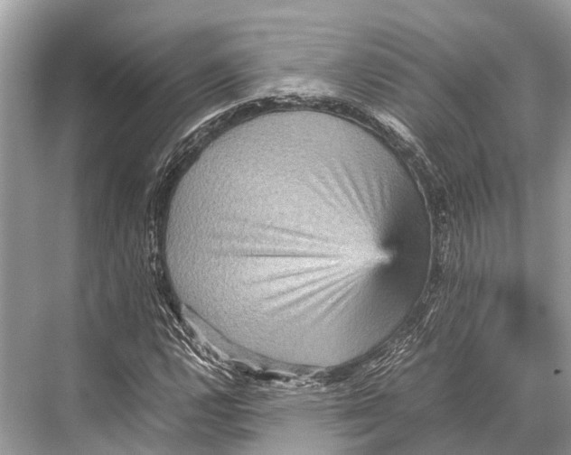 X0000067851112200605041708