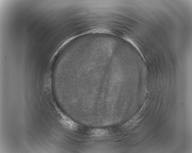 X0000067851115200605041708