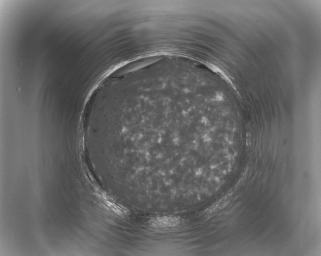 X0000067851117200605041708