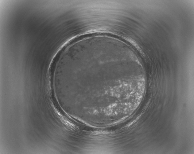 X0000067851118200605041708