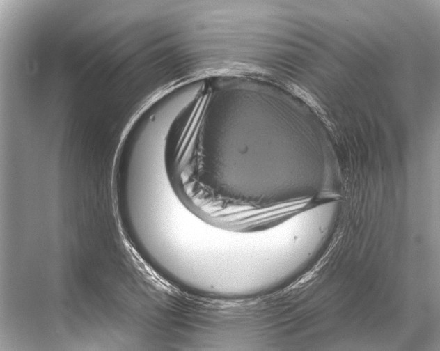 X0000067851122200605041708