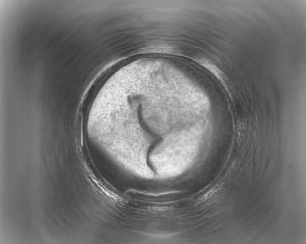 X0000067851123200605041708