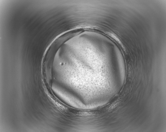 X0000067851124200605041708