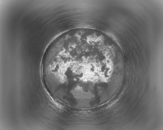 X0000067851125200605041708