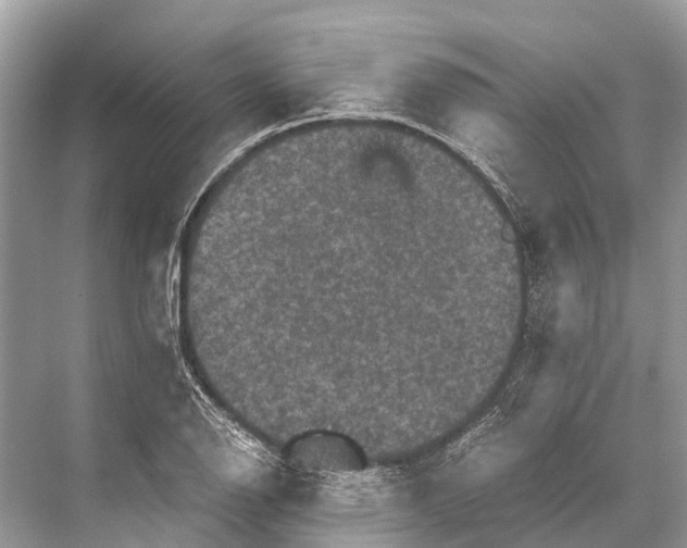 X0000067851126200605041708