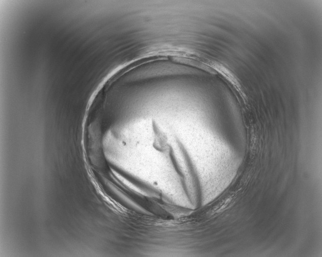 X0000067851128200605041708