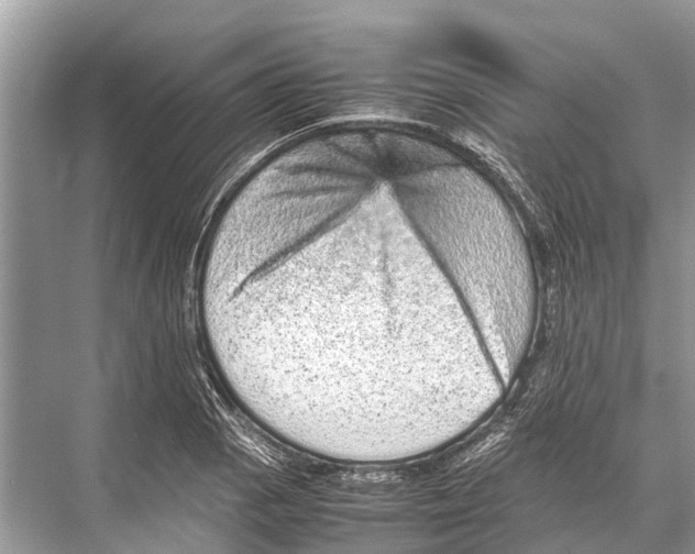 X0000067851129200605041708