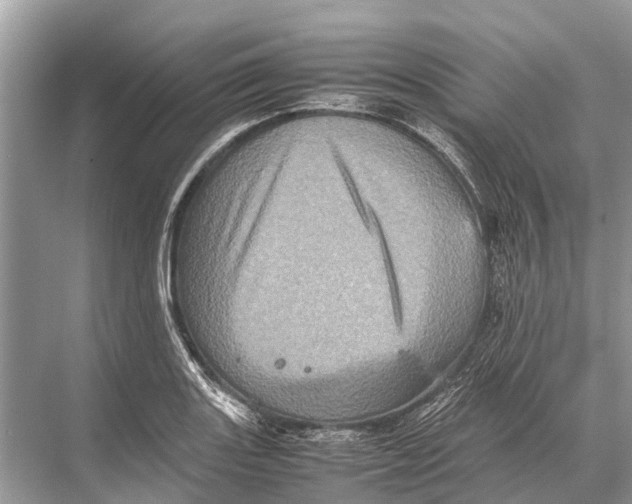 X0000067851131200605041708