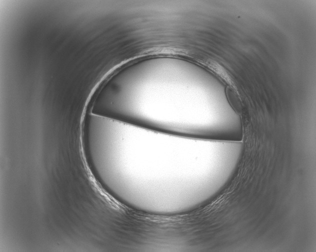 X0000067851132200605041708