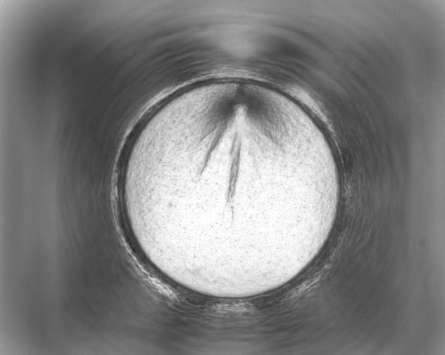 X0000067851133200605041708