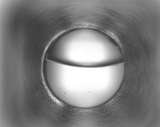 X0000067851136200605041708