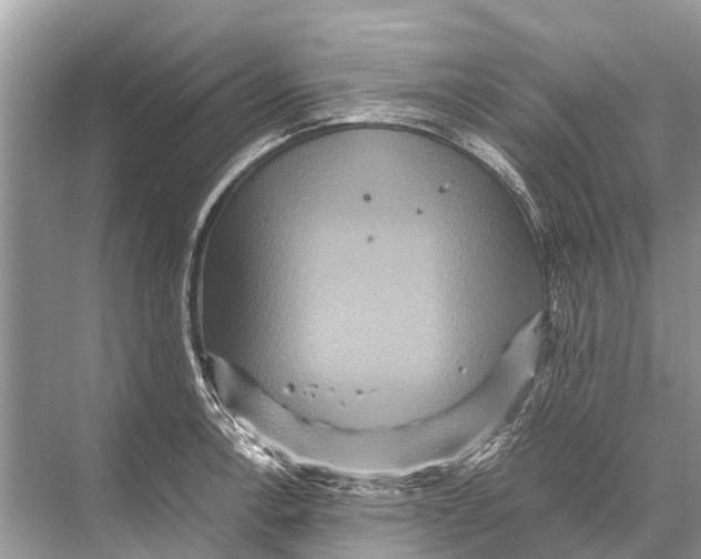 X0000067851138200605041708