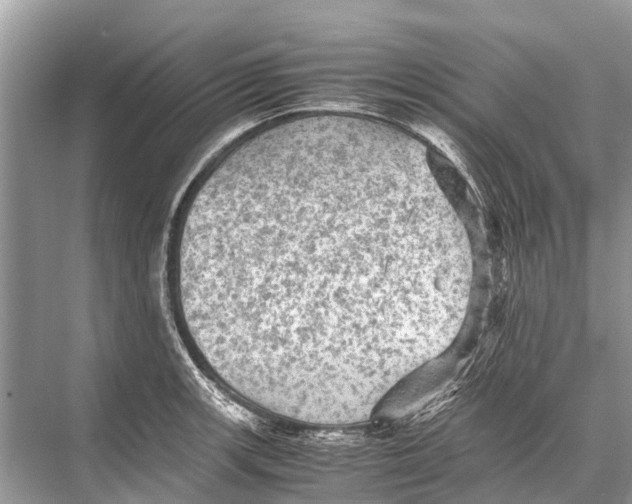 X0000067851139200605041708