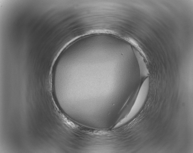 X0000067851140200605041708