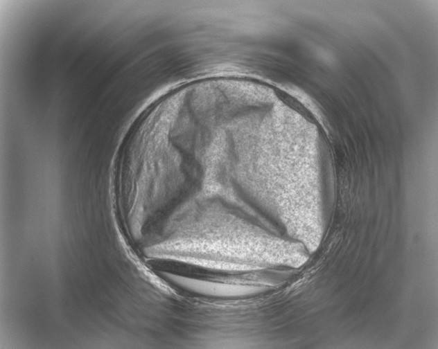 X0000067851142200605041708